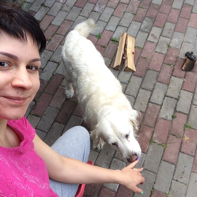 masiaka91 в LOOKY — #голденретривер #золотистыйретривер #собака #дача