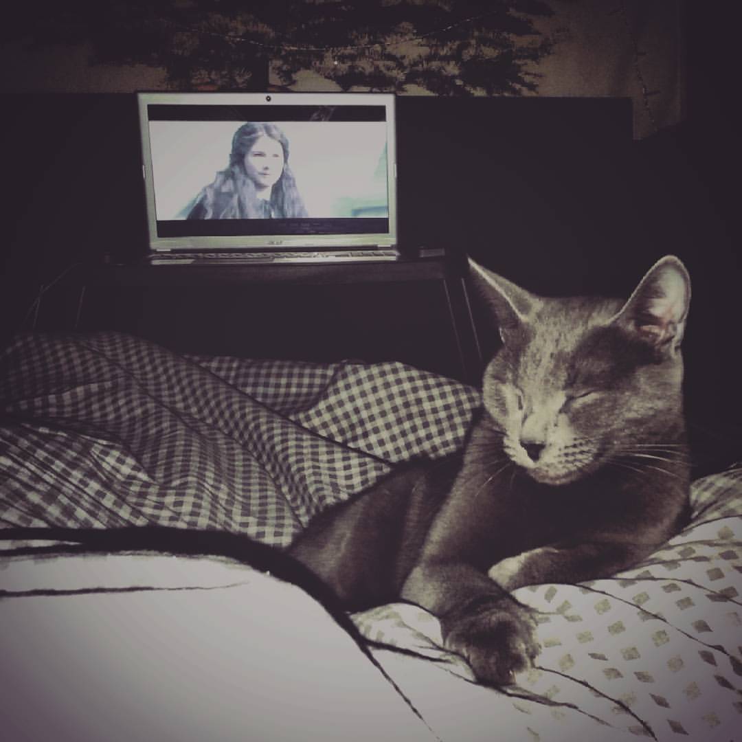 aagushkin в LOOKY — Доброй ночи друзья!
Помните о тех, кто вас любит!
#goodnight