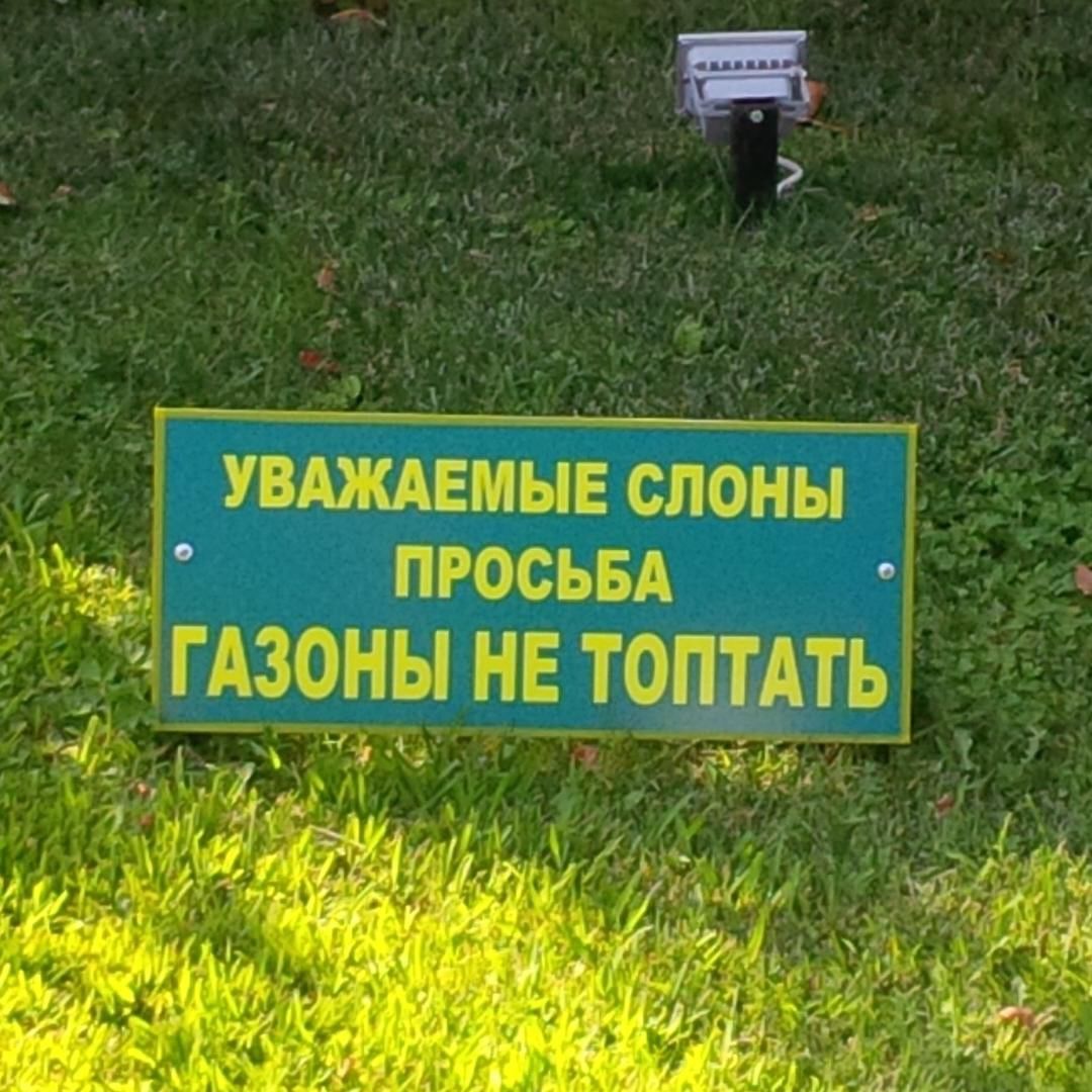 ko1eso in LOOKY. . Оказывается, в Небуг...
