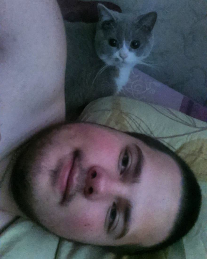 vova_zhyk в LOOKY — Доброе утро 
#доброеутро #спим #кот #тося #instalike #instag