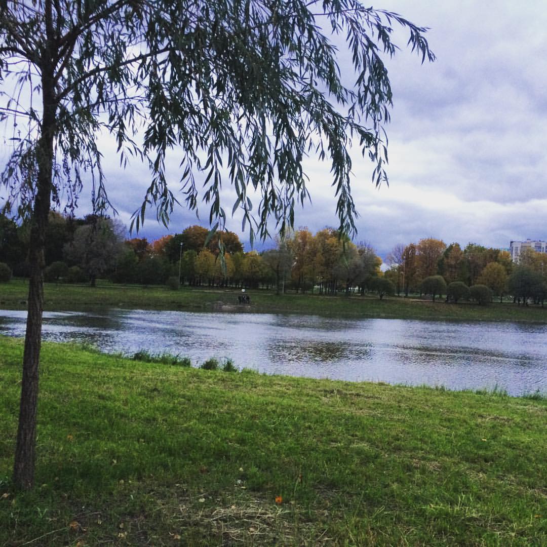nastia_deynega в LOOKY — публикация