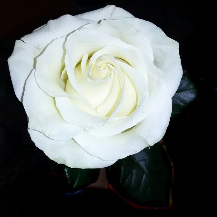 __sementsovamary__ in LOOKY. . null