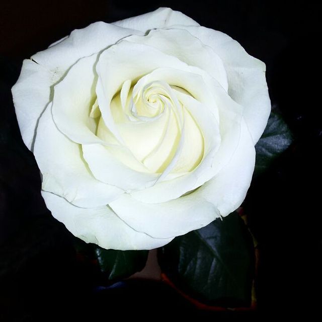 __sementsovamary__ в LOOKY. . null