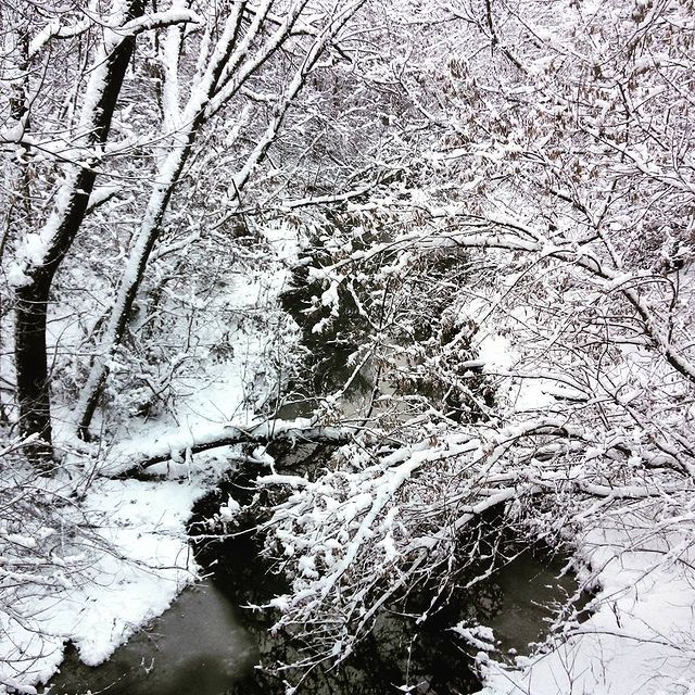 valentawn в LOOKY. #зима,#снег,#природа. Зима!) #зима #снег #...
