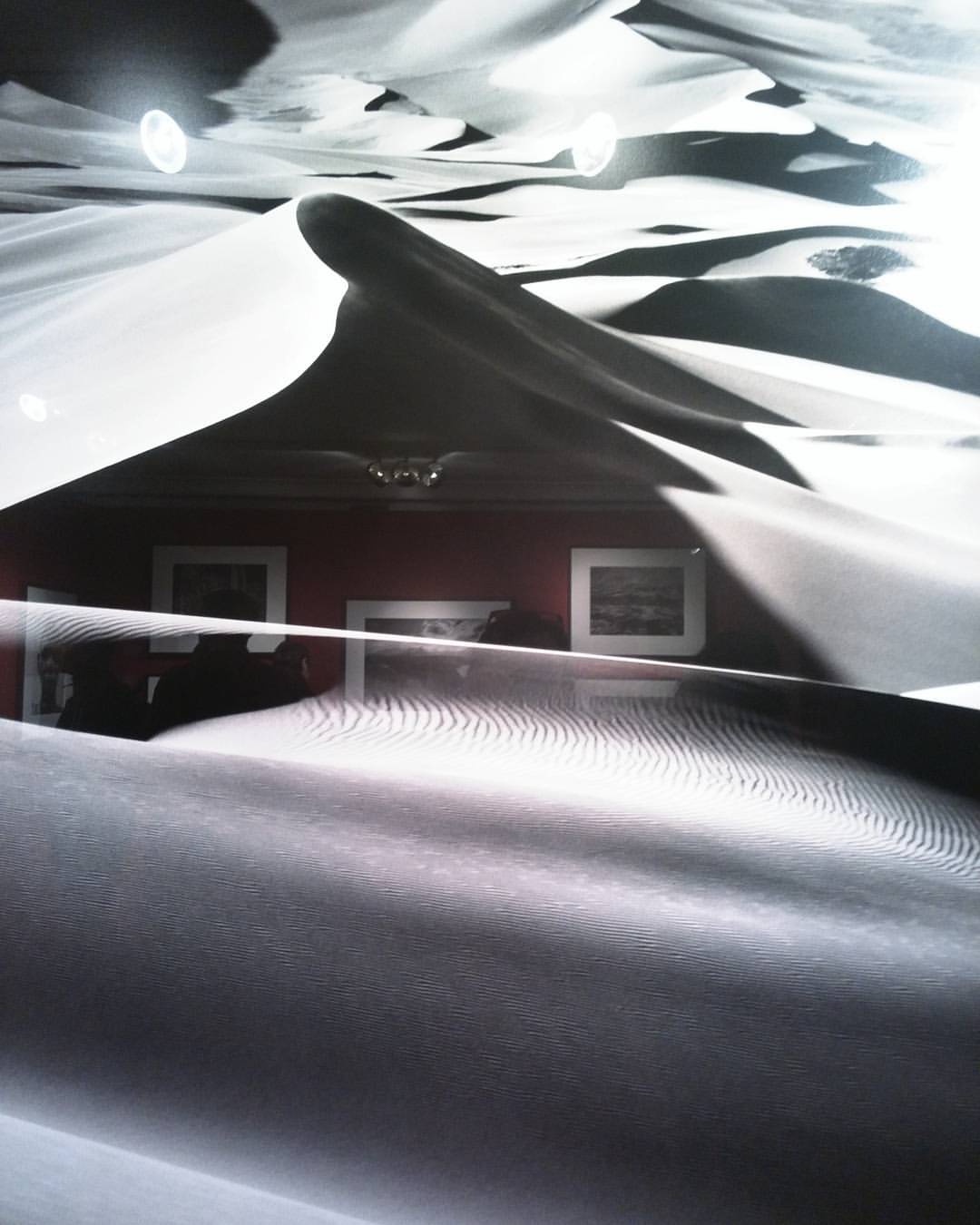 ko.olchitecture в LOOKY — #чб #nocomments