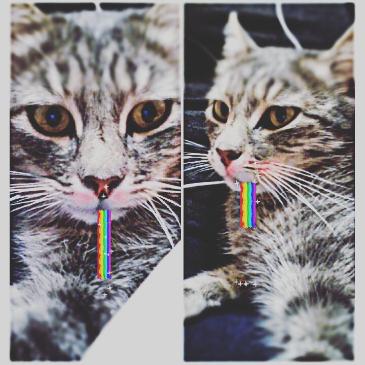 ann_v_bkv in LOOKY. . Немножко скучно
