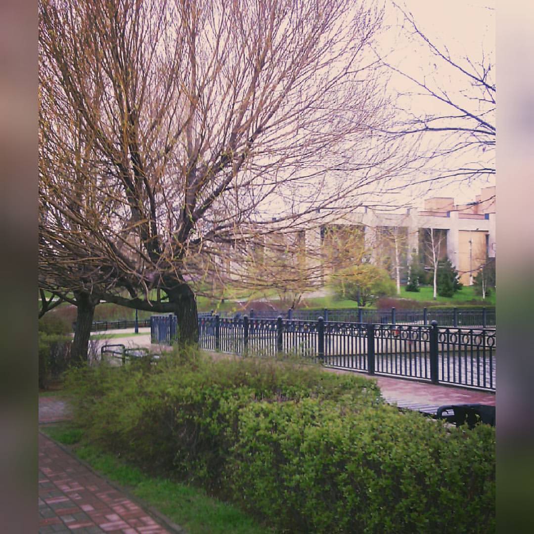 openok83 в LOOKY — #тишинаипокой
#парк #весна #мытищи #гуляемотдыхаем #завтравш