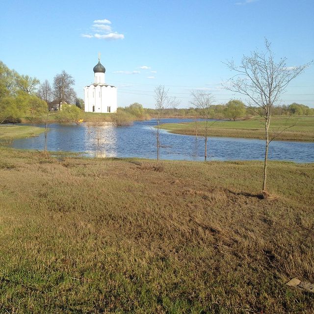 salpetry в LOOKY. . null