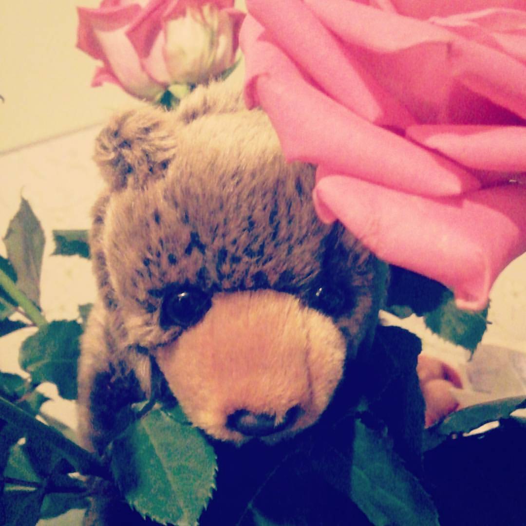 shinobi_koe в LOOKY — День варенья порой приносит много приятностей! 🌹🐻
#present