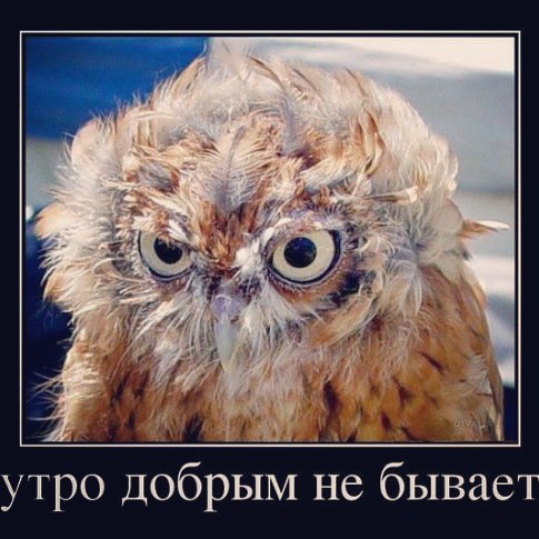 svetikgoleva413 в LOOKY. . null
