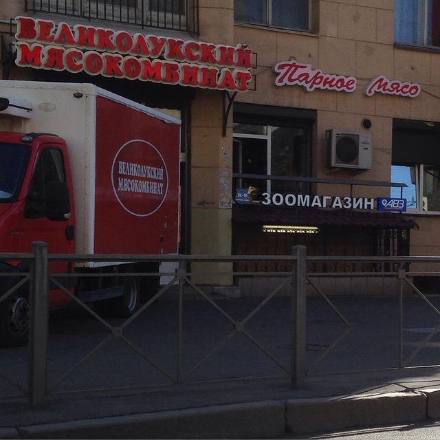 salpetry в LOOKY. . null