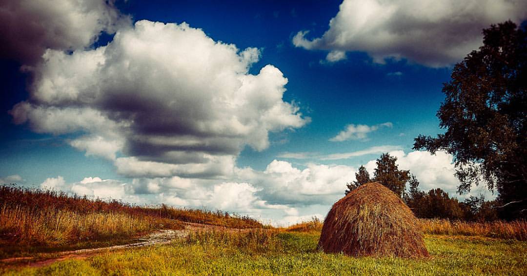 valentinprokudin в LOOKY — #prokopievsk #autumn #sky #sibiria #сибирь #осень #поле #дор