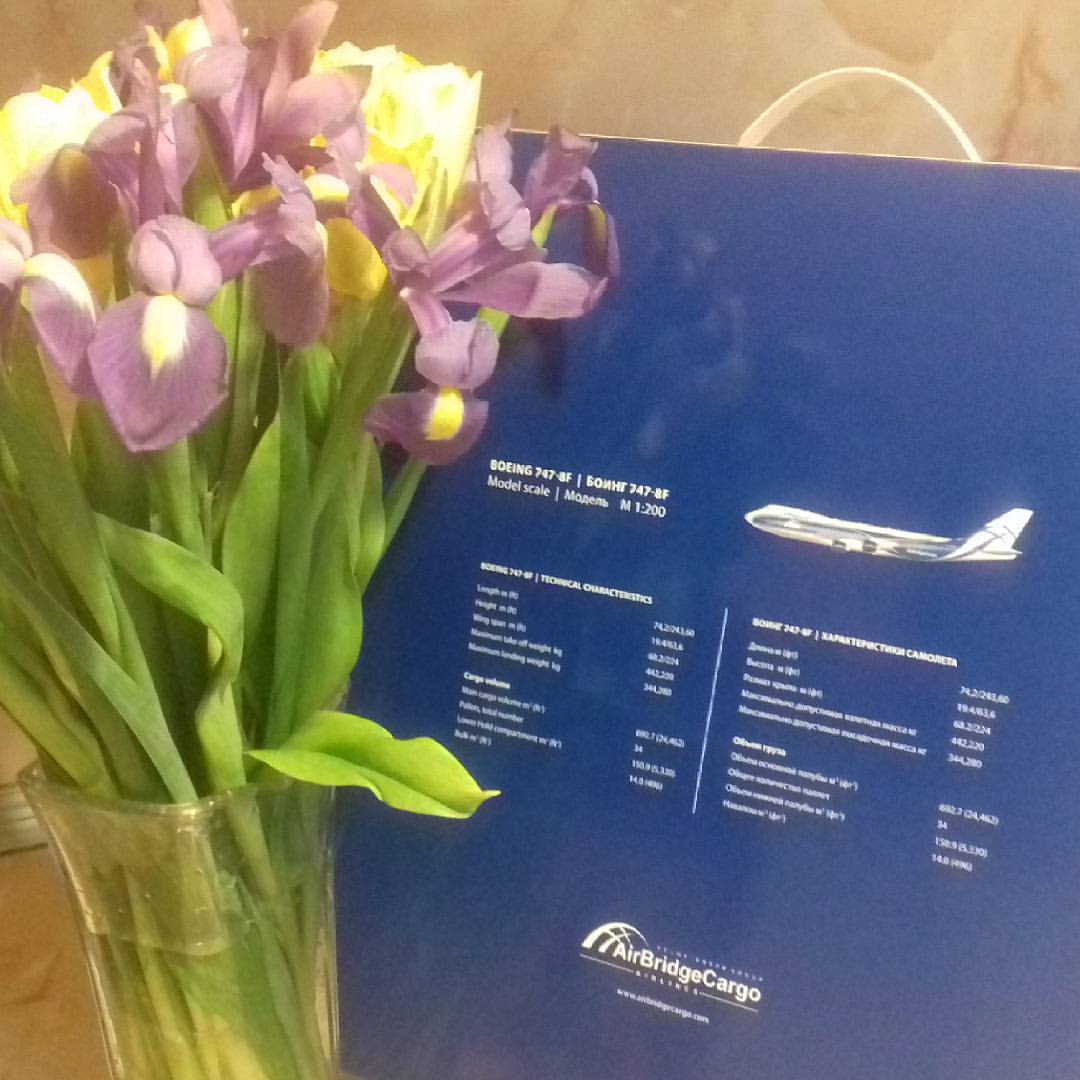 arinarkhova в LOOKY. . Памятные подарки от ...