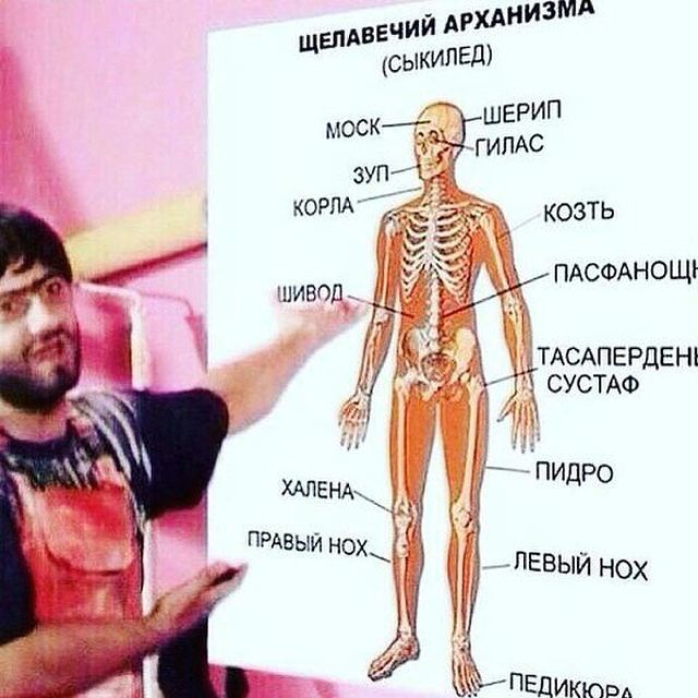 sergey_rf38 в LOOKY. . null