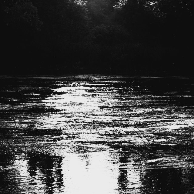 cathya__wind в LOOKY. #summer,#monochromephotography. #summer #monochromep...
