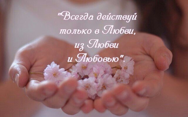 liliia1868 в LOOKY. . null