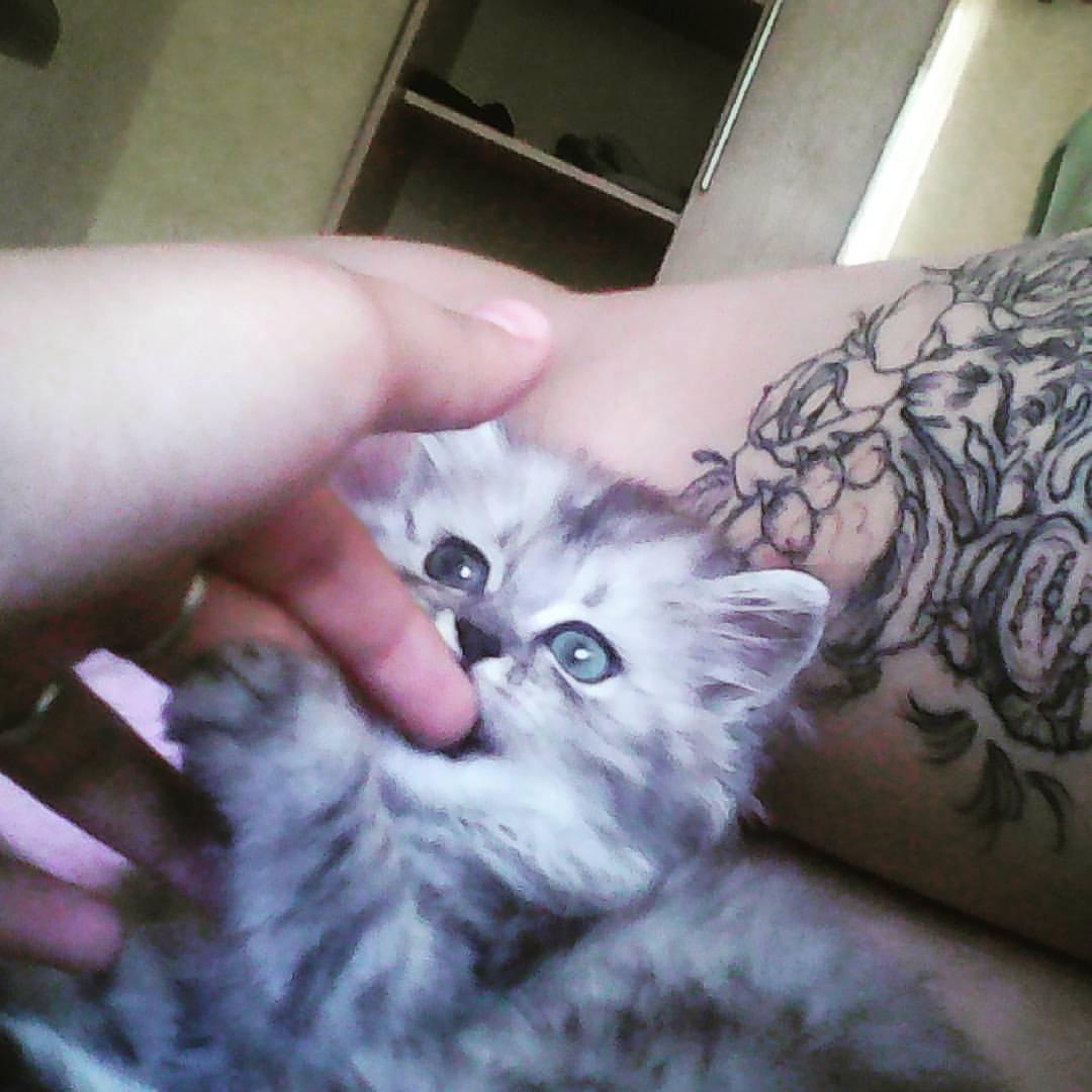 kristinka9824 в LOOKY — #первый#день#вождений#пройден#можно#и#отдохнуть
