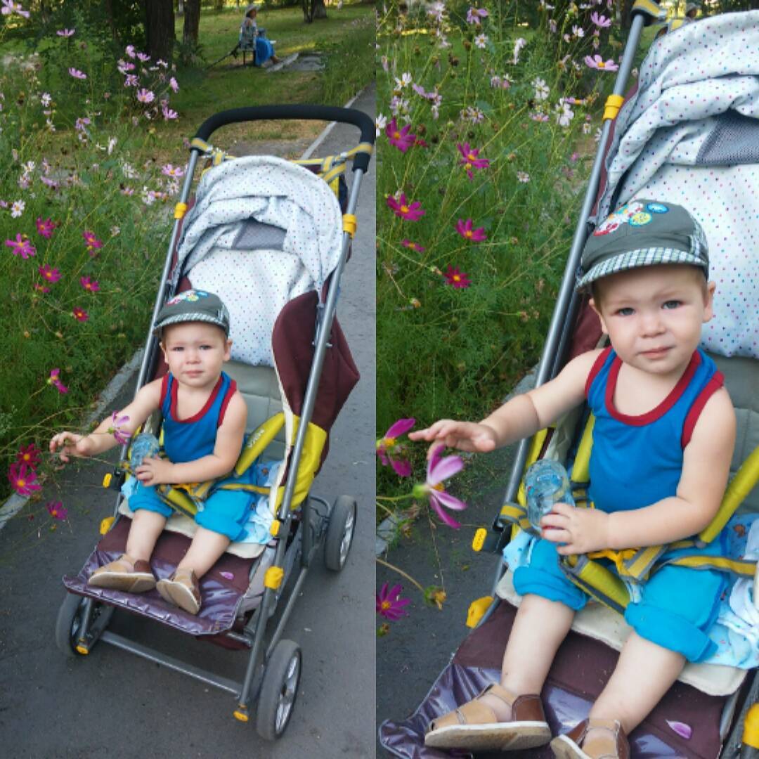 masha45mms в LOOKY — #любимцветочки🌸