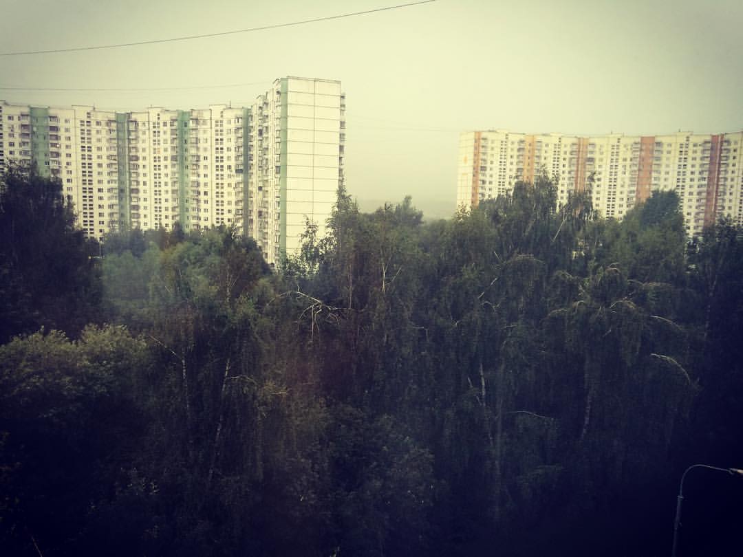 miroviktoriya в LOOKY — #с#утра#погода#обещала#совсем#другой#вечер#а#не#такой#😭😭😭