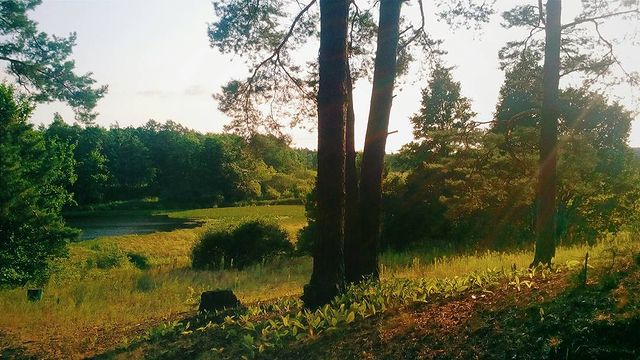 nemnojko.trenera в LOOKY. . null