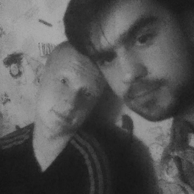 mister_g_r_i_b в LOOKY. #лыс,#бух. #лыс#бух