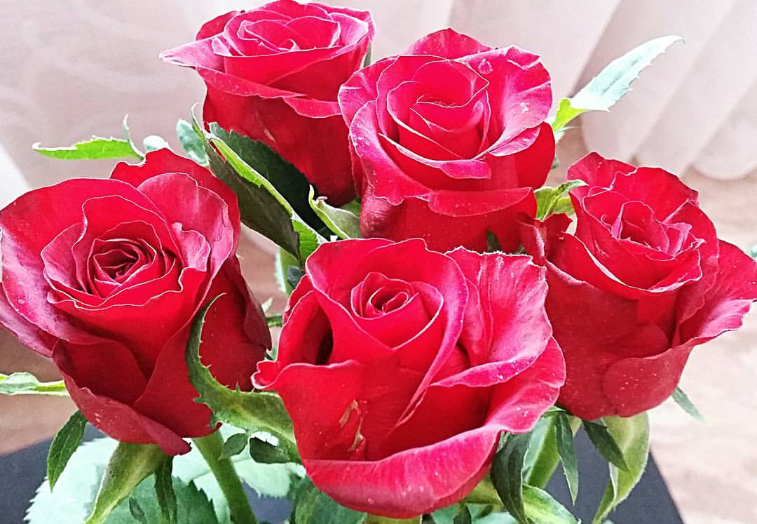 oollesya в LOOKY — #Любит ❤😊 #Onelove