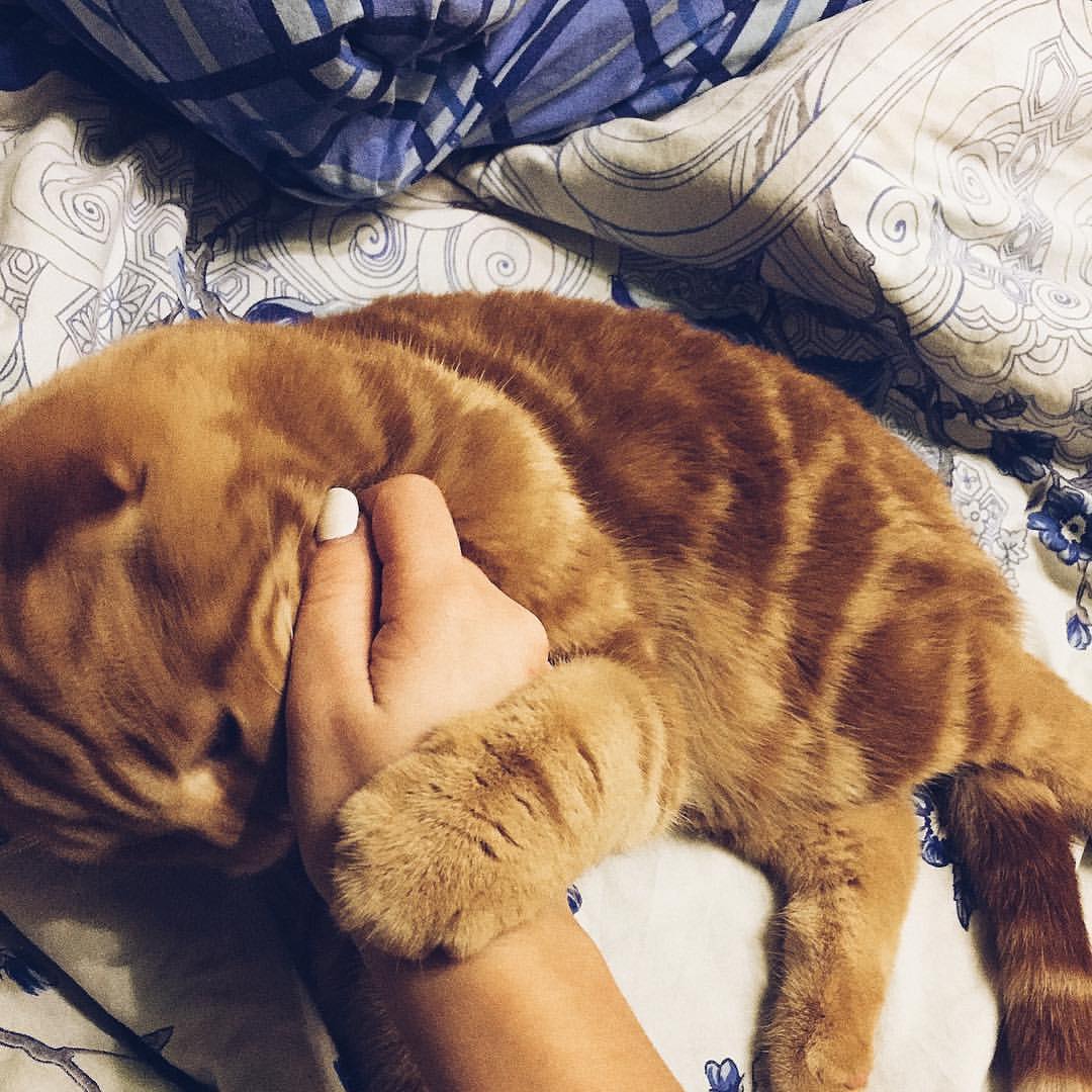 kseniia.sidiakinaa в LOOKY — 🐯