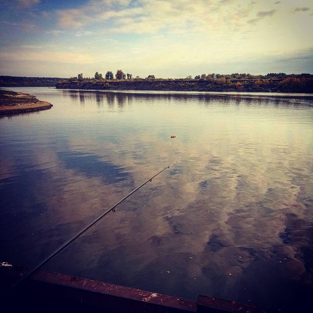 stastmn в LOOKY. #тюмень,#рыбалка,#осень2016. #тюмень #рыбалка #ос...
