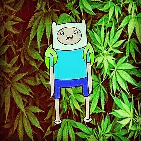 Frost HD в LOOKY. . null