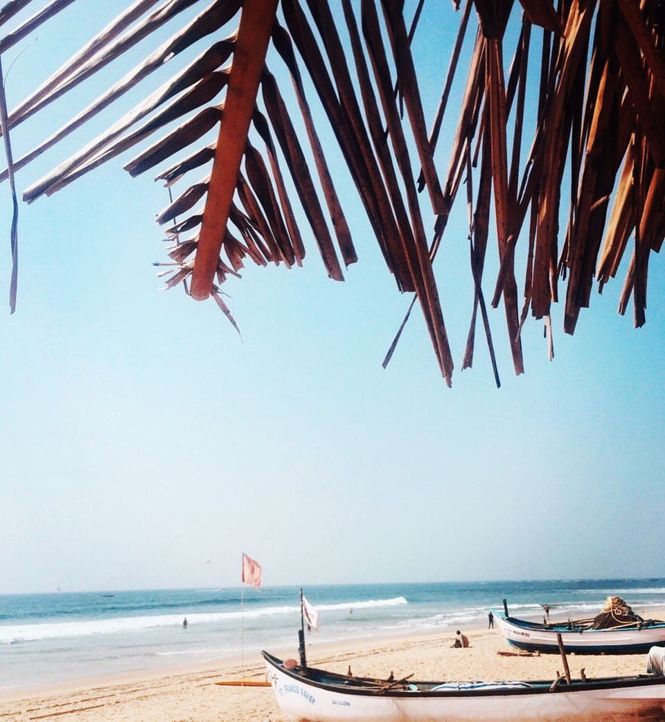 alt.arsv in LOOKY. . 🏖