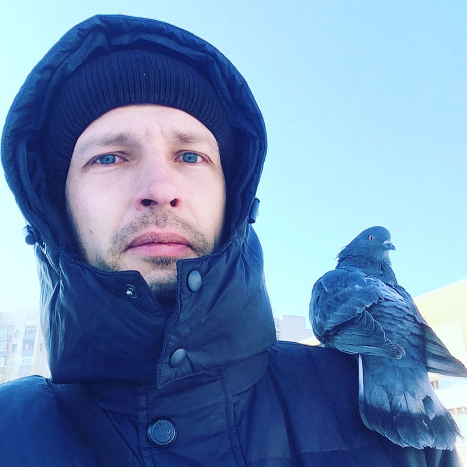 tialyur в LOOKY — Голодные #голуби атакуют