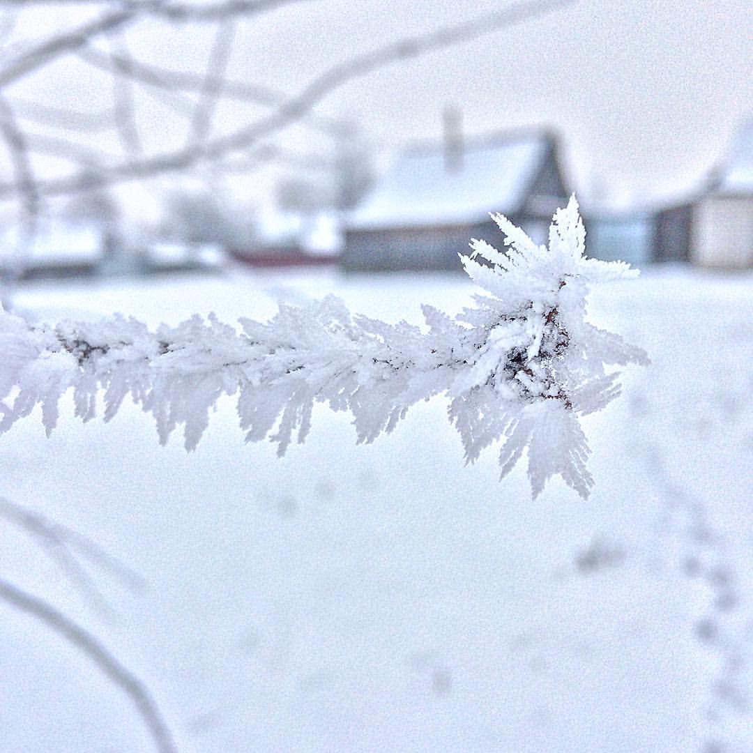 kr1sanov в LOOKY — ❄️ #дом #НикЖив