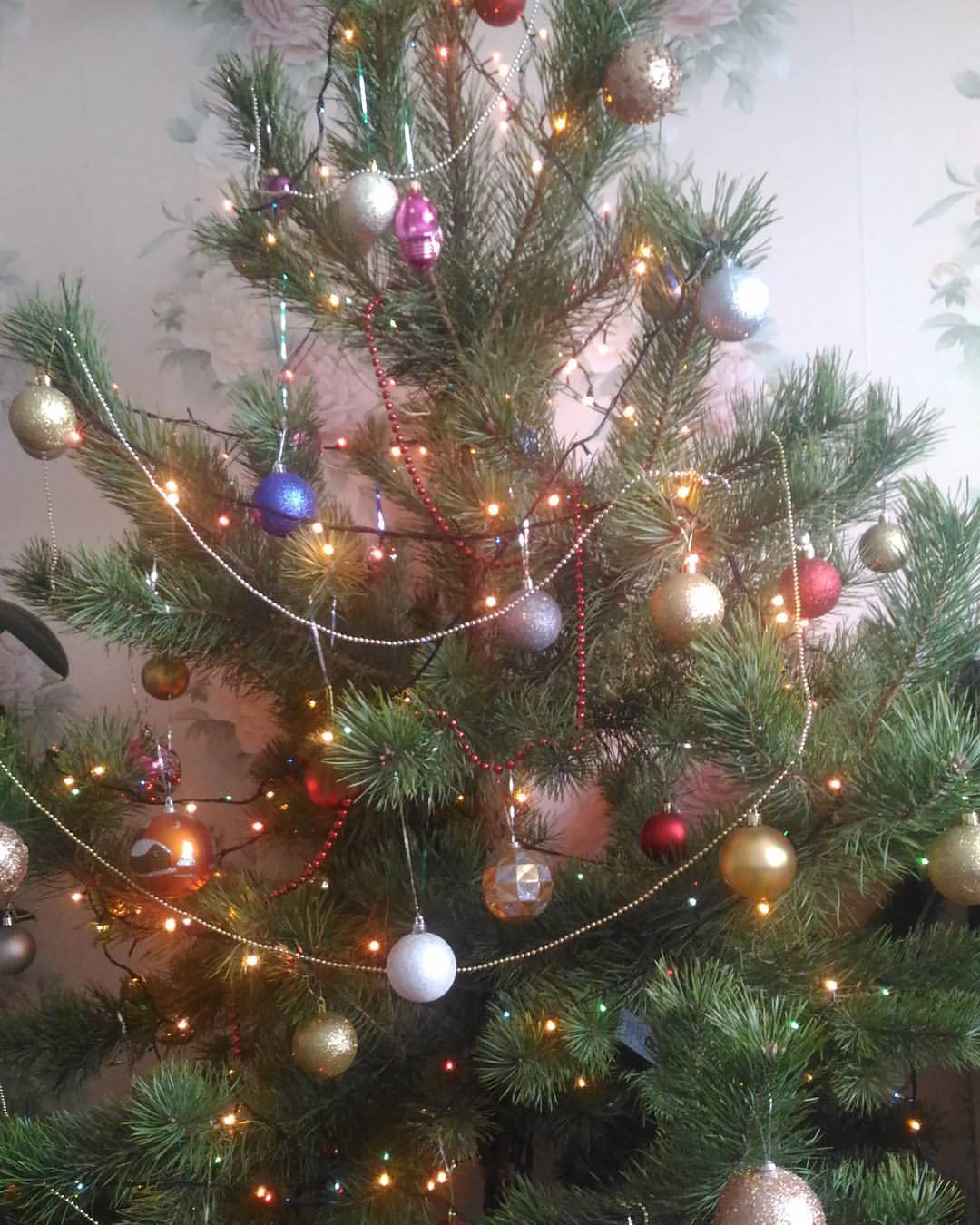 morozova_margo_v в LOOKY — Урааа!Идет Новый Год!!!)#новыйгод #мчится #ура #мояелка #мой