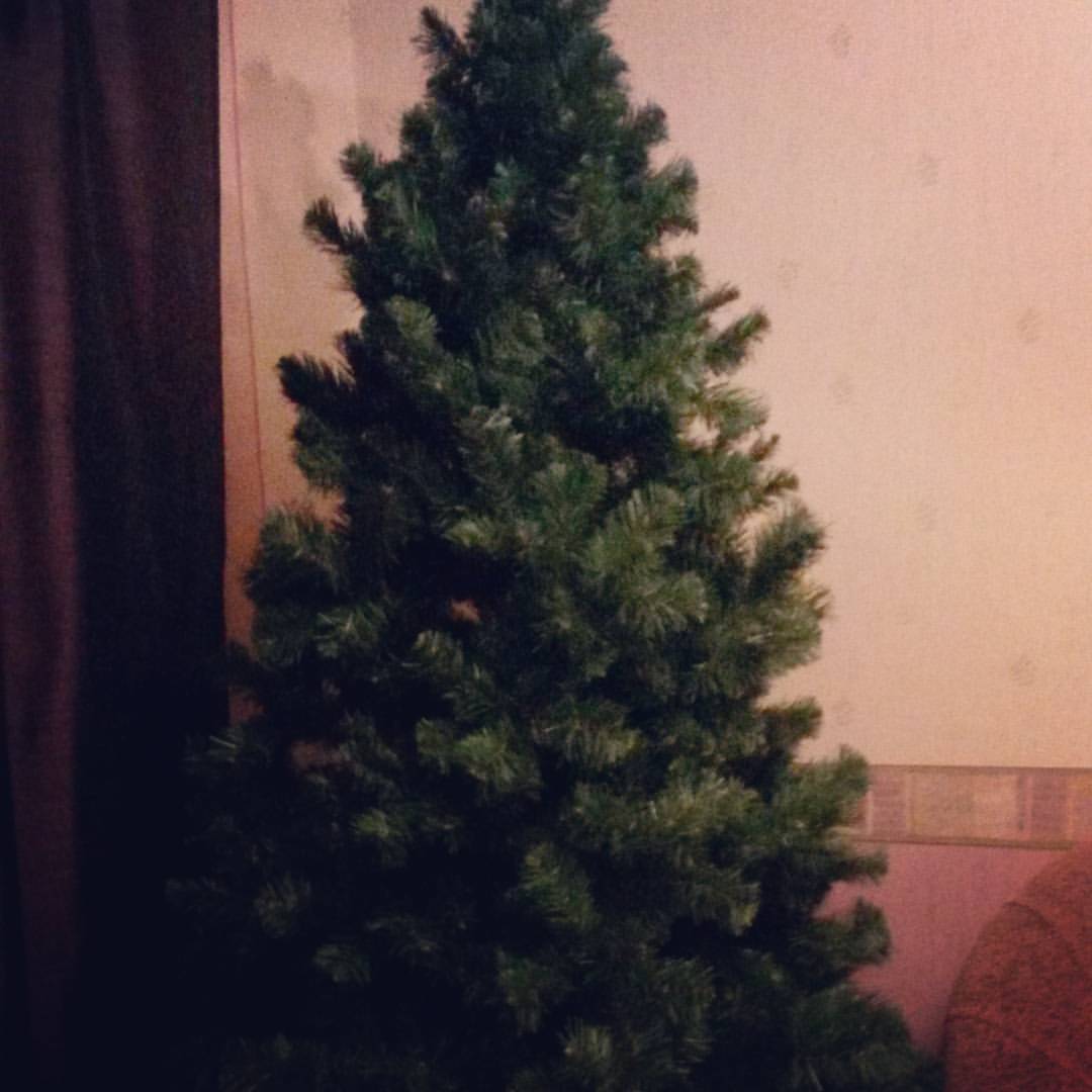 lydmilalevina в LOOKY — Началось  #елка  #нг