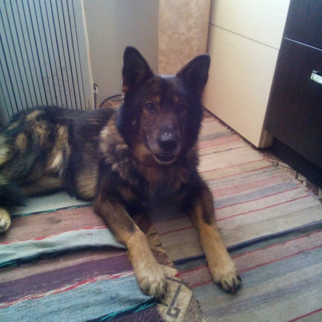 nekrrasova.e в LOOKY — #охрана