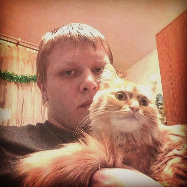 stastmn в LOOKY. #тюмень,#дома,#кошка. #тюмень #дома #кошка