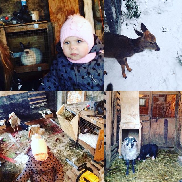 viktoriya.sivochenko в LOOKY. #Рузскийрайон#независимоеземлячествоказаков#трогательныйзоопарколеней#zoooleni.ru🐰🐔🐷🐶🐱🦆🦌🐐👍🐾. #Рузскийрайон#незави...