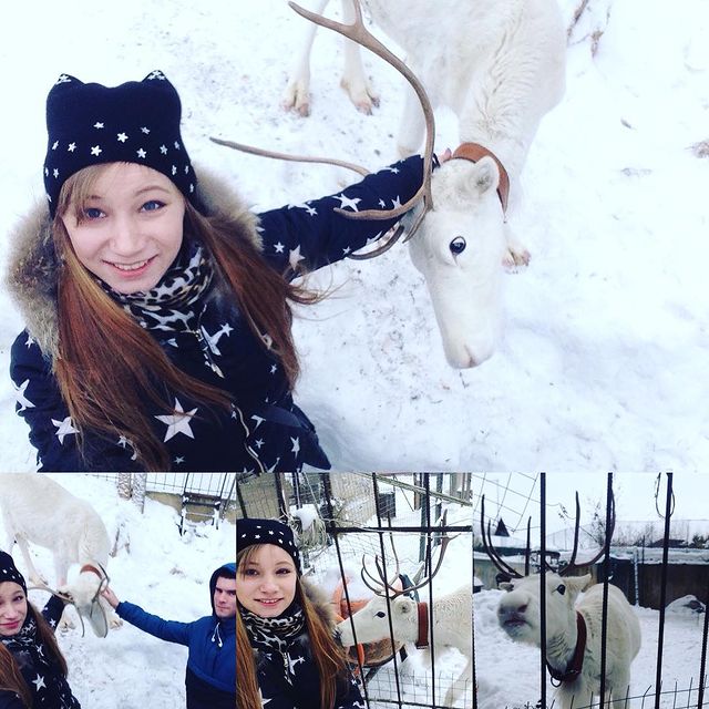 viktoriya.sivochenko в LOOKY. #рузскийрайон#независимоеземлячествоказаков#трогательныйзоопарколеней#zoooleni.ru🦌👍🐾. #рузскийрайон#незави...