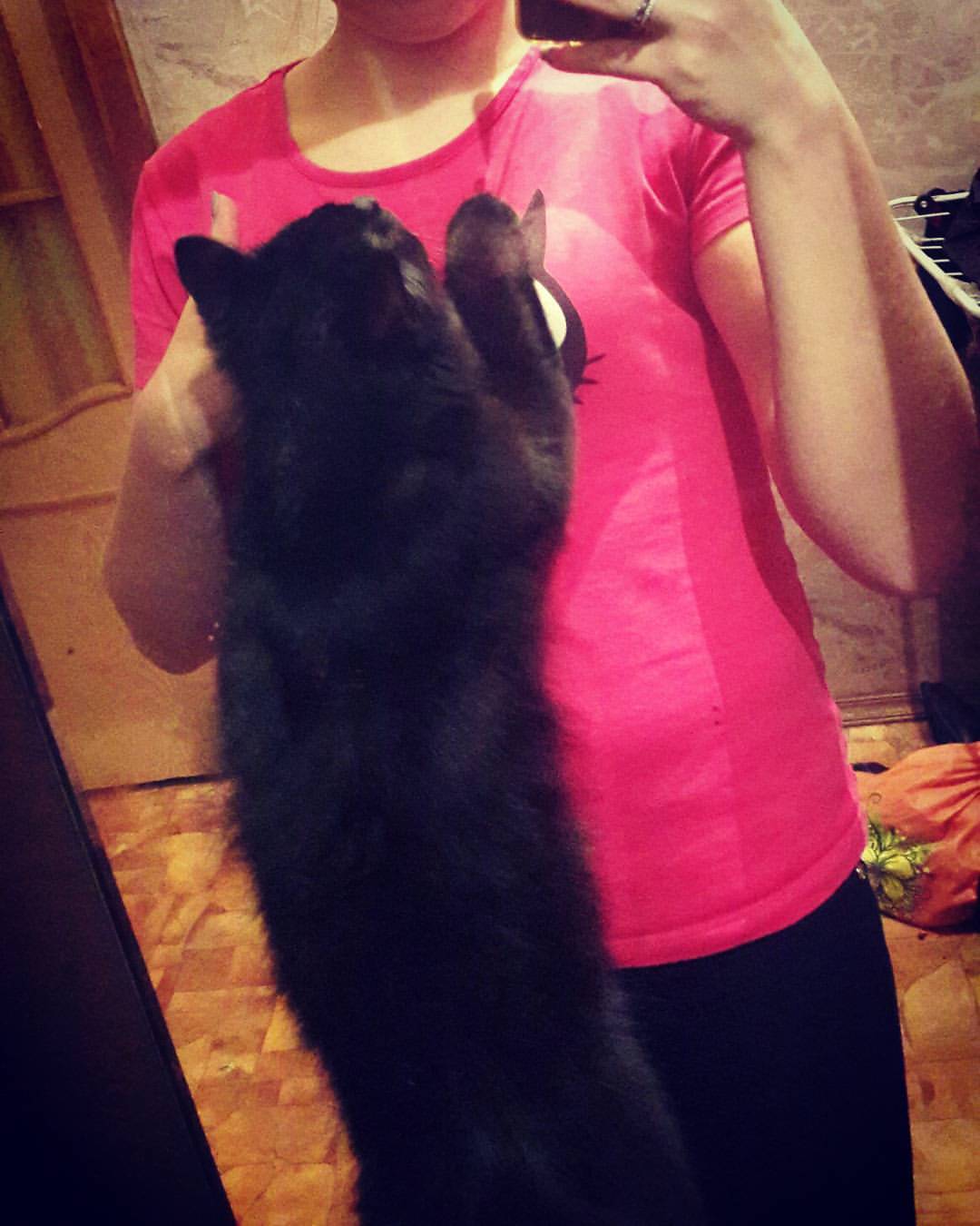 nastia_fil_ в LOOKY — Кошки они другие. Кошка не меняет отношение к человеку, даже