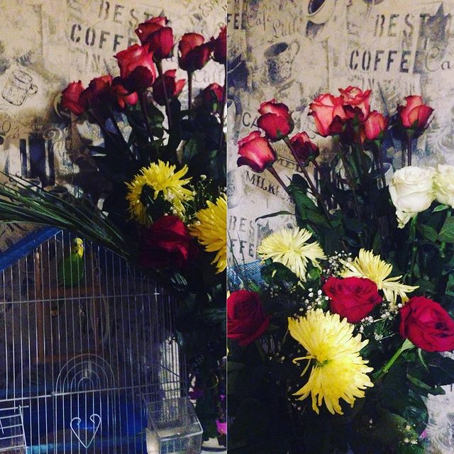 viktoriya.sivochenko в LOOKY. #цветочки💐,#гошавджунглях🐦💐💐💐. #цветочки💐 #гошавдж...