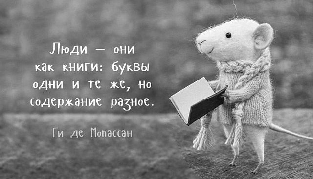 cathya__wind в LOOKY. #people,#books,#☺. #people #books #☺