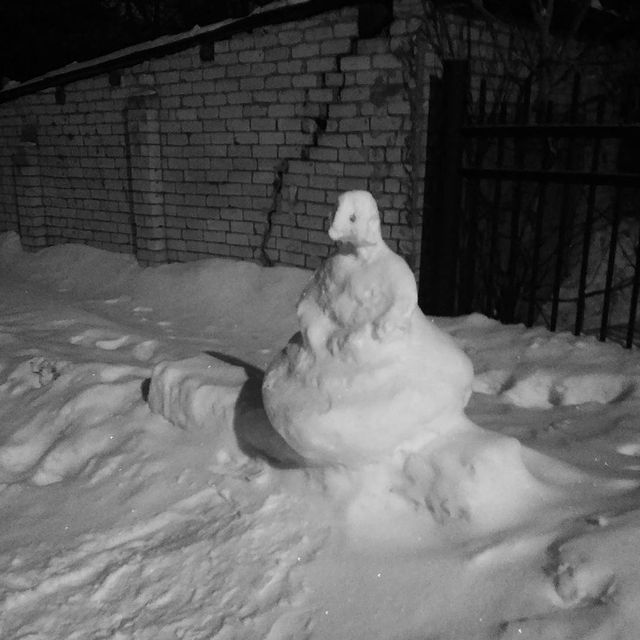 yurviko в LOOKY. #ждун. А у нас во дворе #жд...