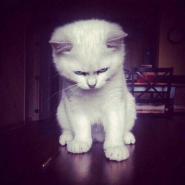 va1ieva_di в LOOKY — #NoComments#Like