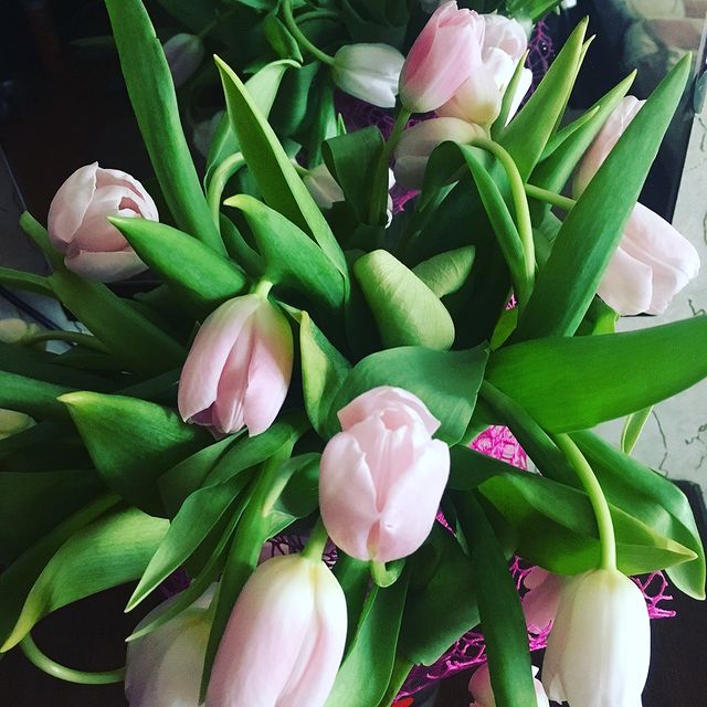 daria__basova в LOOKY. #8марта. Это утро самое трога...