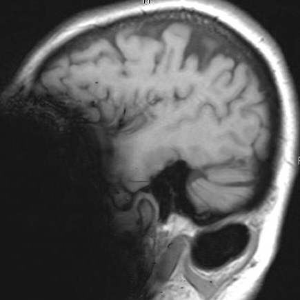 russianradiology в LOOKY — фото 2