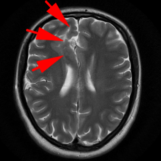 russianradiology в LOOKY — фото 2