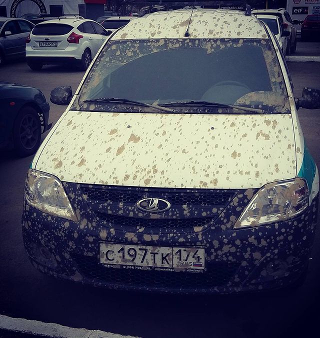 koltaviy в LOOKY. #лужа. Единственная (и непо...