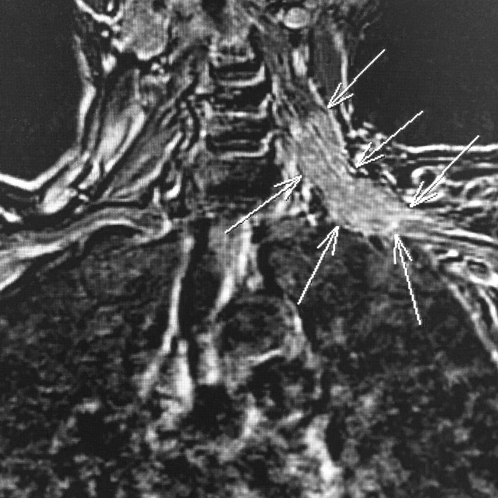 russianradiology в LOOKY — фото 2