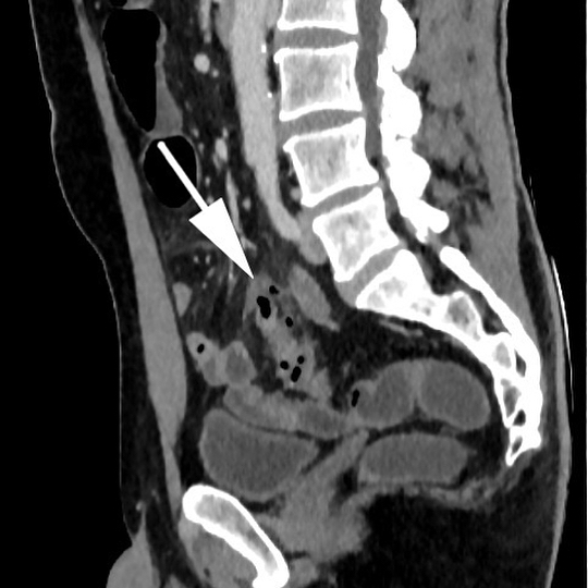 russianradiology в LOOKY — фото 2