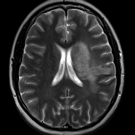 russianradiology в LOOKY — фото 5